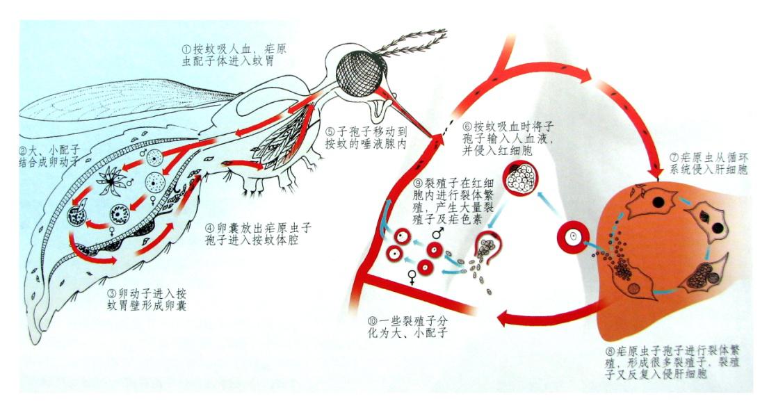 图片7.jpg