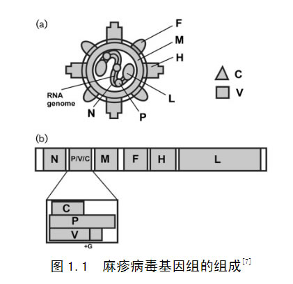 微信截图_20190419082331.jpg