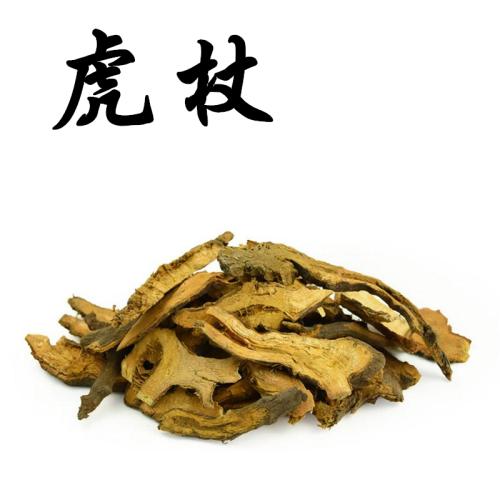 虎杖.jpg