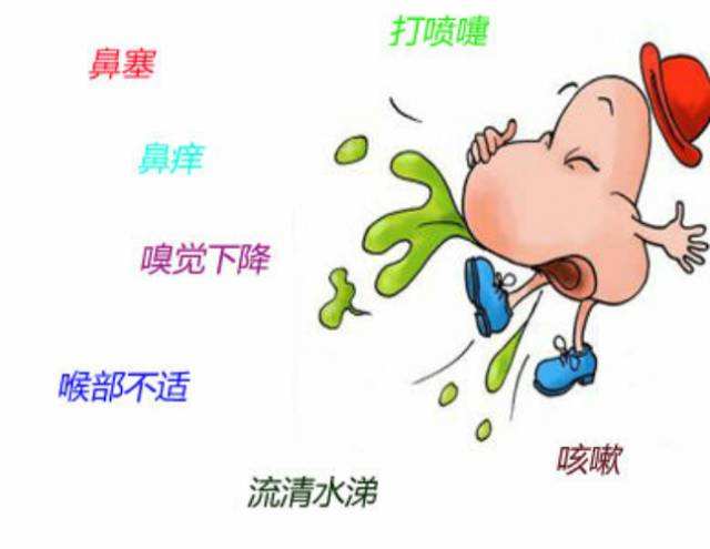 季节性鼻炎2.jpg